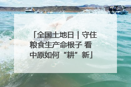 全国土地日｜守住粮食生产命根子 看中原如何“耕”新