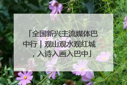 全国新兴主流媒体巴中行｜观山观水观红城，入诗入画入巴中
