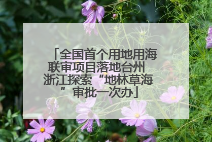 全国首个用地用海联审项目落地台州 浙江探索“地林草海”审批一次办