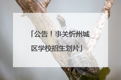 公告！事关忻州城区学校招生划片