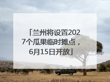 兰州将设置2027个瓜果临时摊点，6月15日开放