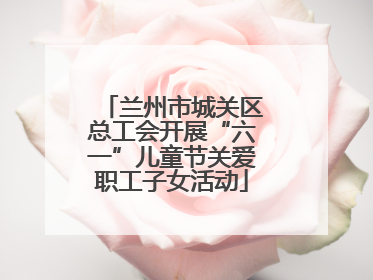 兰州市城关区总工会开展“六一”儿童节关爱职工子女活动