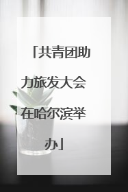 共青团助力旅发大会在哈尔滨举办