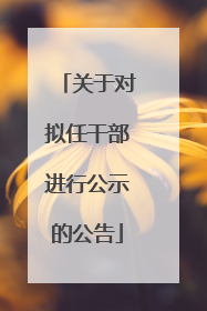 关于对拟任干部进行公示的公告