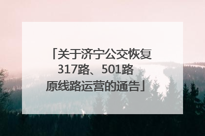 关于济宁公交恢复317路、501路原线路运营的通告