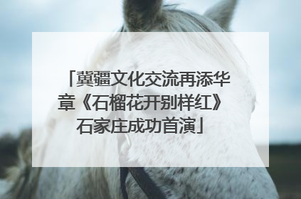冀疆文化交流再添华章《石榴花开别样红》石家庄成功首演
