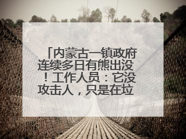 内蒙古一镇政府连续多日有熊出没！工作人员：它没攻击人，只是在垃圾桶翻找食物