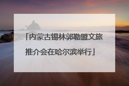 内蒙古锡林郭勒盟文旅推介会在哈尔滨举行