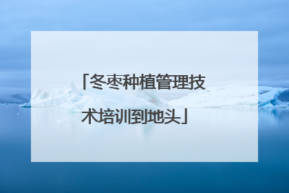 冬枣种植管理技术培训到地头