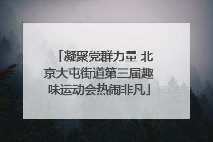 凝聚党群力量 北京大屯街道第三届趣味运动会热闹非凡