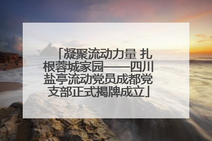 凝聚流动力量 扎根蓉城家园——四川盐亭流动党员成都党支部正式揭牌成立