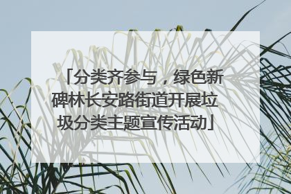 分类齐参与，绿色新碑林长安路街道开展垃圾分类主题宣传活动