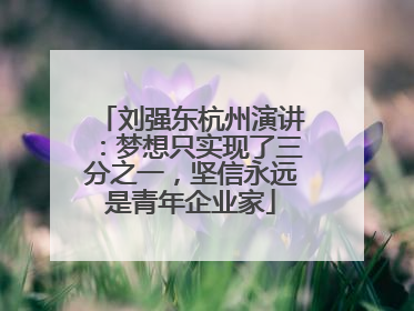 刘强东杭州演讲：梦想只实现了三分之一，坚信永远是青年企业家