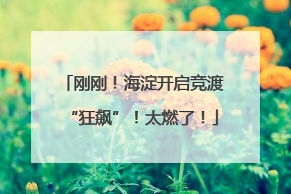 刚刚！海淀开启竞渡“狂飙”！太燃了！