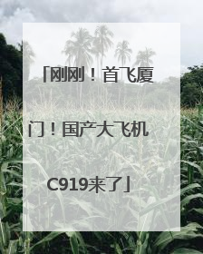 刚刚！首飞厦门！国产大飞机C919来了