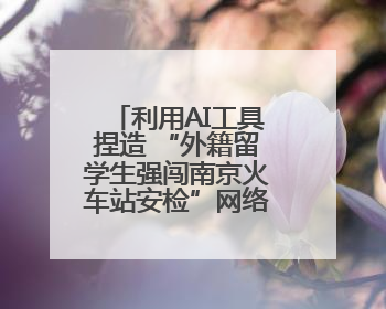 利用AI工具捏造 “外籍留学生强闯南京火车站安检”网络谣言，张某燕被行政拘留