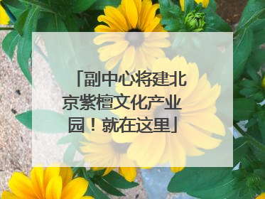 副中心将建北京紫檀文化产业园！就在这里