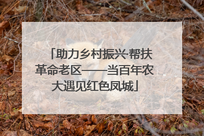 助力乡村振兴·帮扶革命老区——当百年农大遇见红色凤城