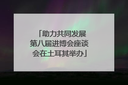 助力共同发展 第八届进博会座谈会在土耳其举办