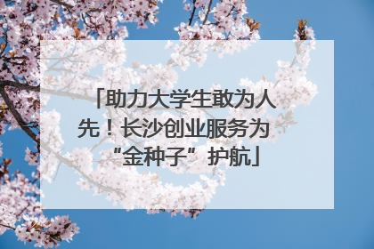 助力大学生敢为人先！长沙创业服务为“金种子”护航
