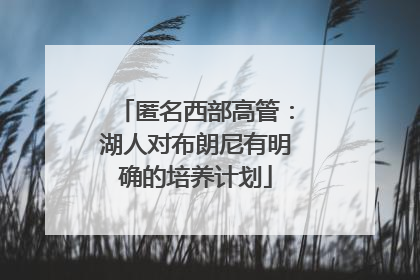 匿名西部高管：湖人对布朗尼有明确的培养计划