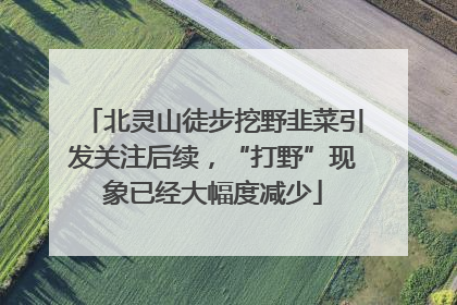 北灵山徒步挖野韭菜引发关注后续，“打野”现象已经大幅度减少