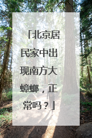 北京居民家中出现南方大蟑螂，正常吗？