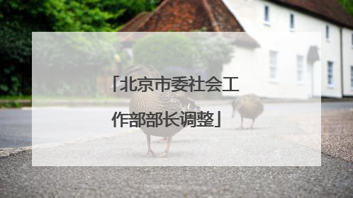 北京市委社会工作部部长调整