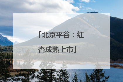 北京平谷：红杏成熟上市
