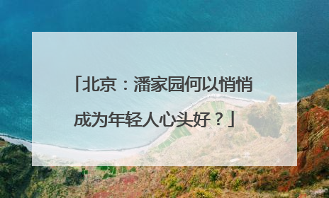 北京：潘家园何以悄悄成为年轻人心头好？