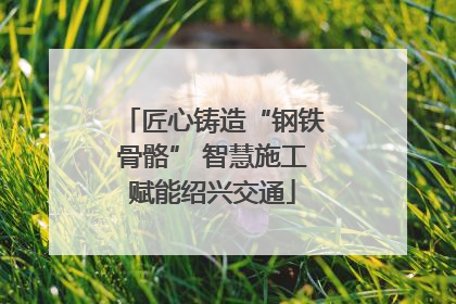 匠心铸造“钢铁骨骼” 智慧施工赋能绍兴交通