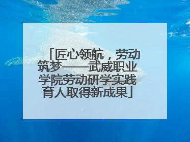 匠心领航，劳动筑梦——武威职业学院劳动研学实践育人取得新成果