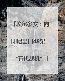 埃尔多安：向印尼出口48架“五代战机”