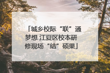 城乡校际“联”通梦想 江夏区校本研修现场“结”硕果