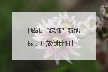 城市“绿肺”新地标，开放倒计时