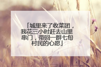 城里来了收菜团，我花三小时赶去山里串门，带回一群七旬村民的心愿