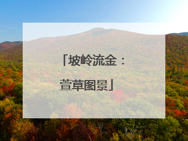 坡岭流金：萱草图景