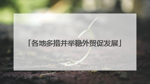 各地多措并举稳外贸促发展