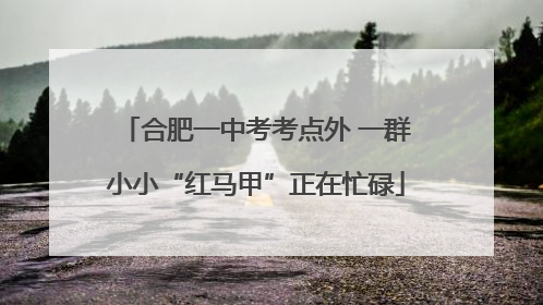 合肥一中考考点外 一群小小“红马甲”正在忙碌