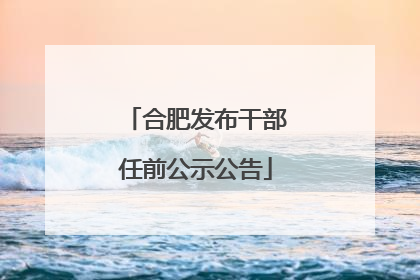 合肥发布干部任前公示公告