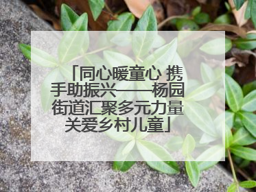 同心暖童心 携手助振兴——杨园街道汇聚多元力量关爱乡村儿童