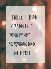 同江：北纬47°种出“黄金产业” 软枣猕猴桃9月上市