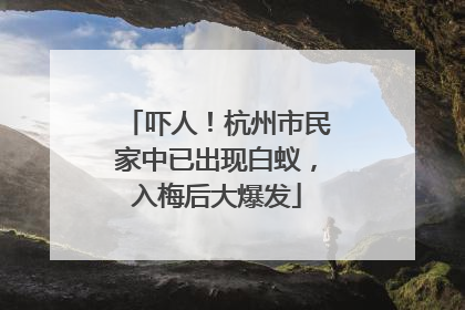 吓人！杭州市民家中已出现白蚁，入梅后大爆发