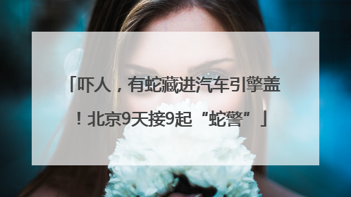 吓人，有蛇藏进汽车引擎盖！北京9天接9起“蛇警”