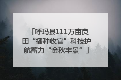 呼玛县111万亩良田“播种收官”科技护航蓄力“金秋丰景”