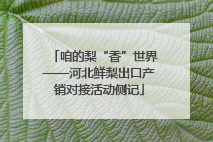 咱的梨“香”世界——河北鲜梨出口产销对接活动侧记