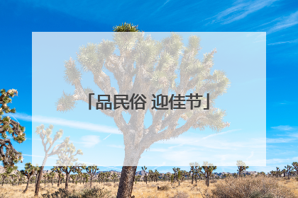 品民俗 迎佳节
