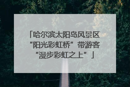 哈尔滨太阳岛风景区“阳光彩虹桥”带游客“漫步彩虹之上”
