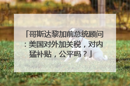 哥斯达黎加前总统顾问：美国对外加关税，对内猛补贴，公平吗？