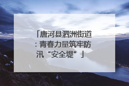 唐河县泗洲街道：青春力量筑牢防汛“安全堤”
